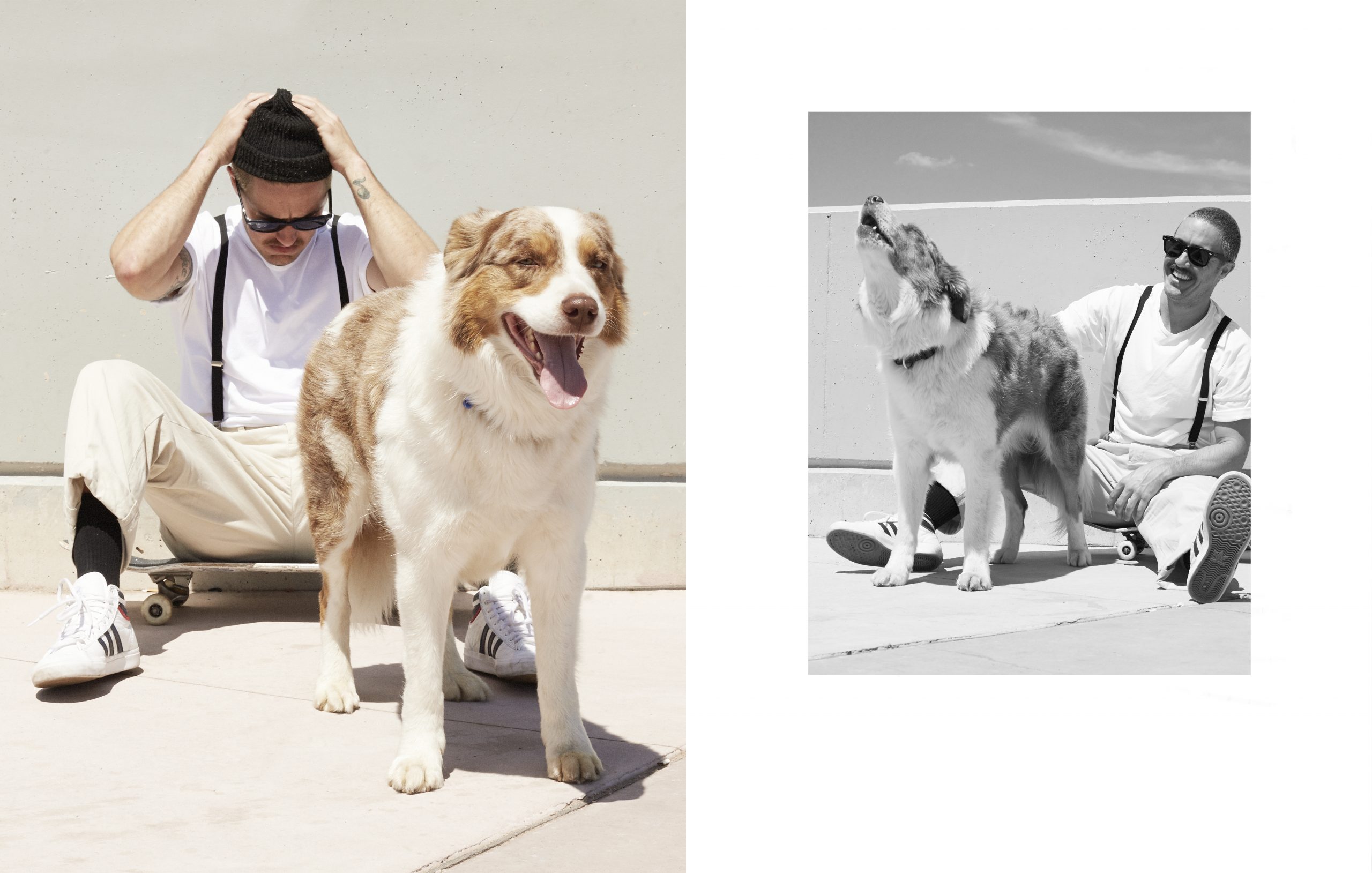 “DOG TOWN”  FOUR & SONS ISSUE 9