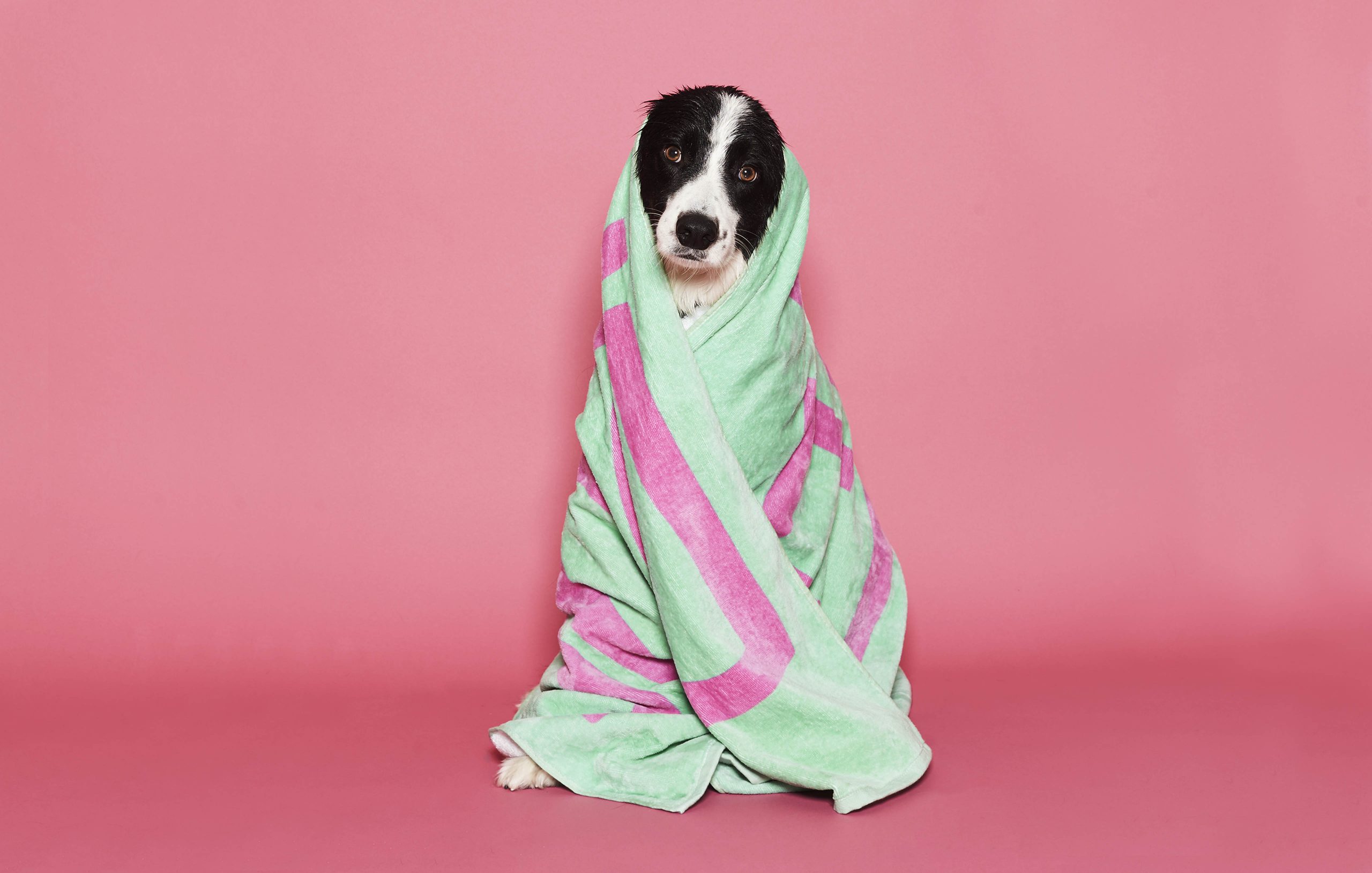 CASH “THREE DRAWS DOWN” FOUR & SONS.