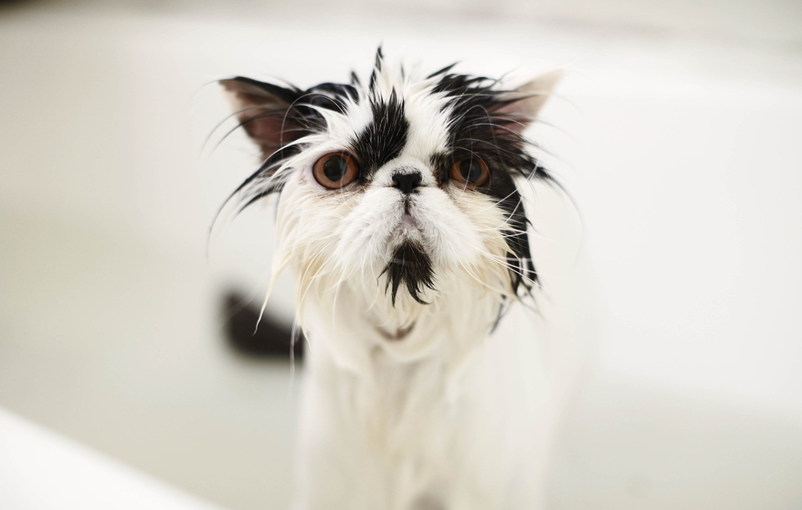 SMILE LIKE NO ONES WATCHING.