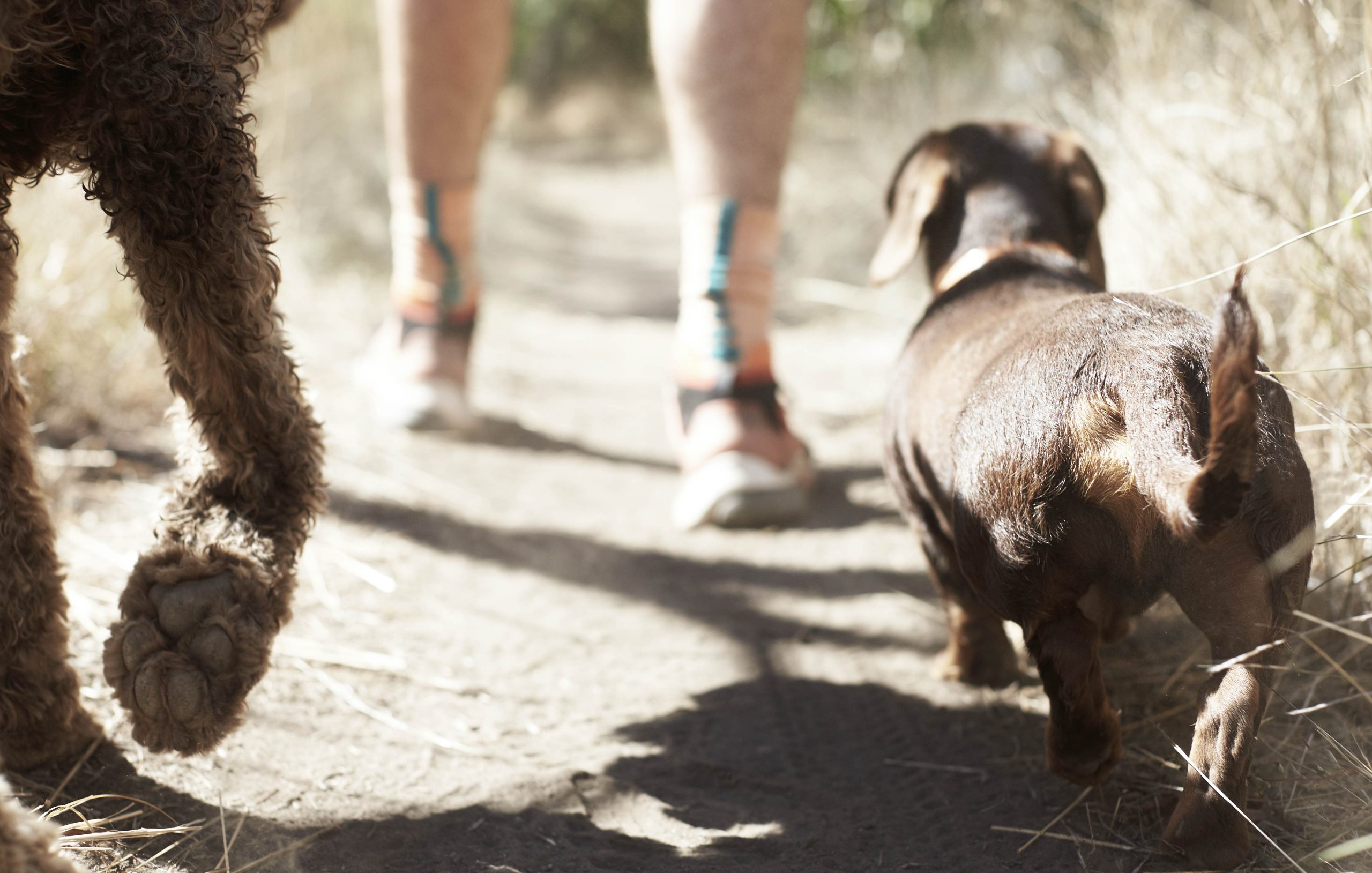 “TOM & CAPTAIN” FOUR & SONS ISSUE 9