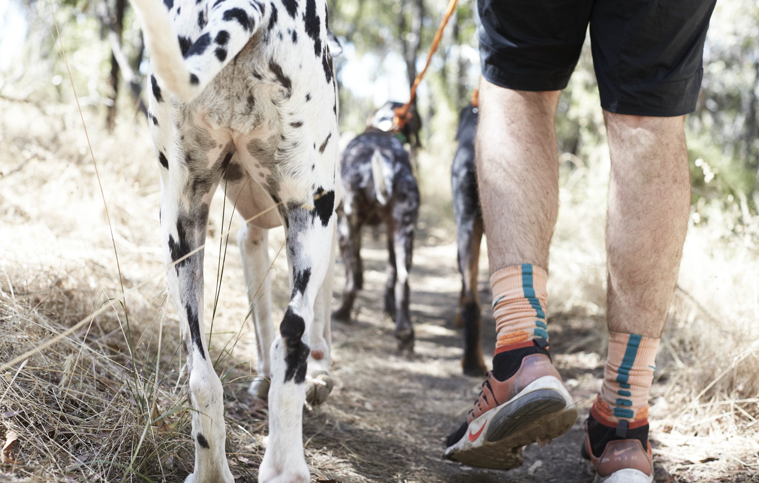 “TOM & CAPTAIN” FOUR & SONS ISSUE 9