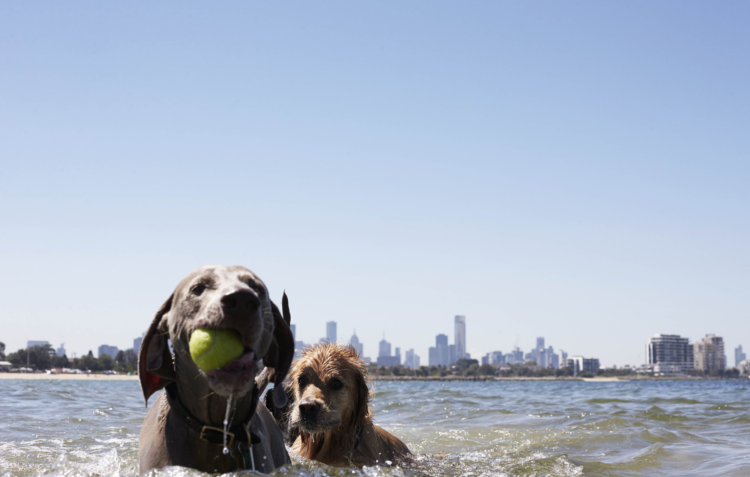 “TOM & CAPTAIN” FOUR & SONS ISSUE 9